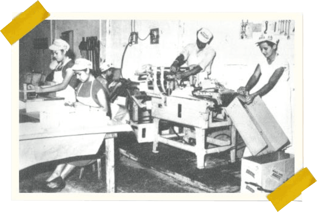 Image related to the history text